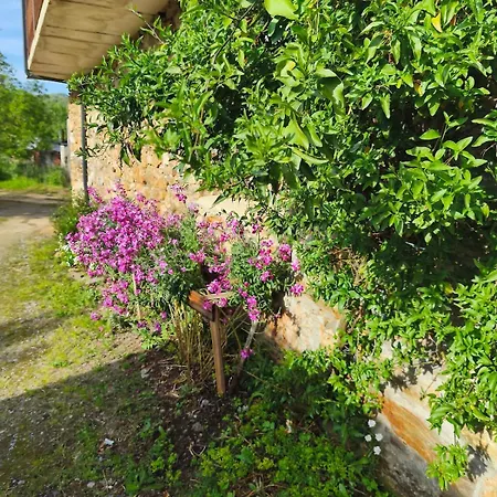 Rincón Del Bierzo Сasa de vacaciones *